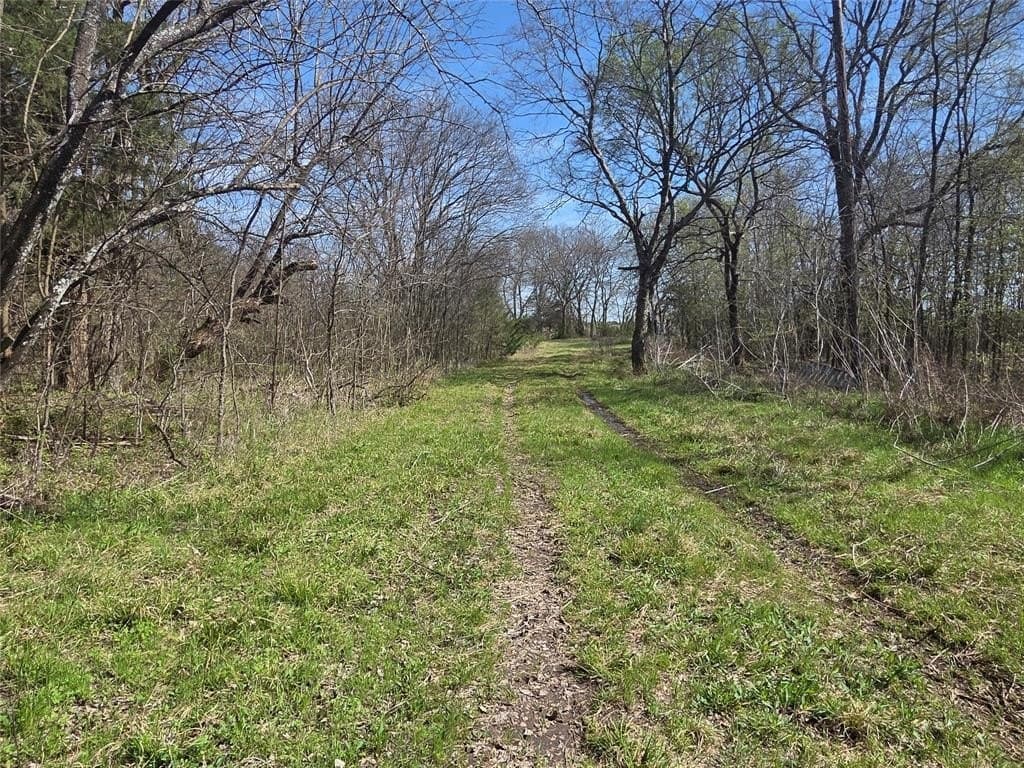 2.14 acres in Fannin County - photo 3
