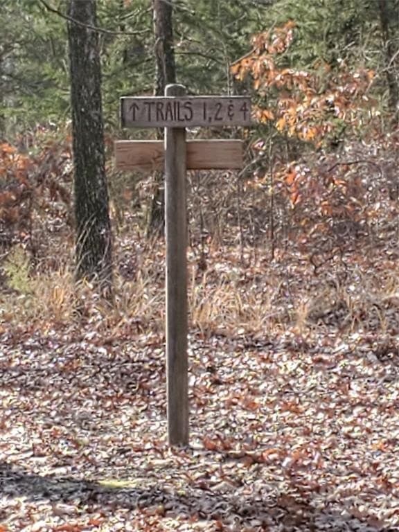 2.14 acres in Fannin County - photo 33