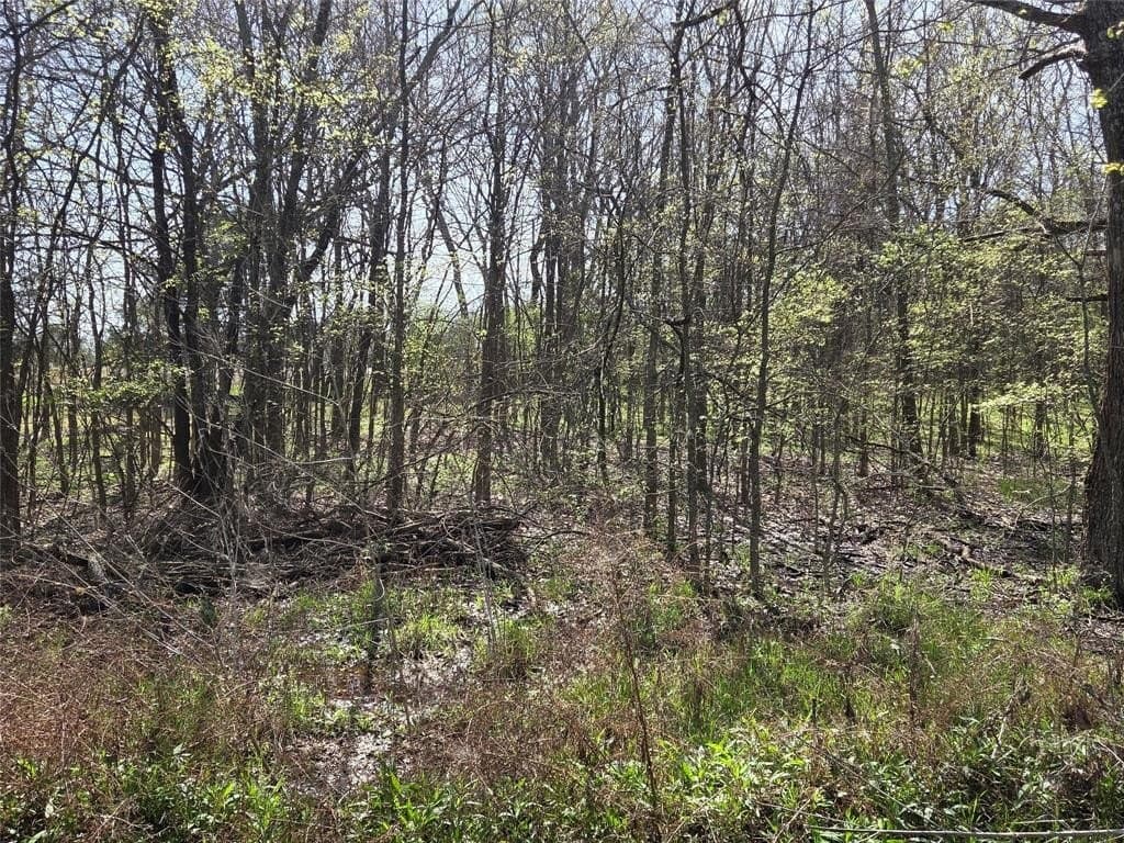 2.14 acres in Fannin County - photo 21