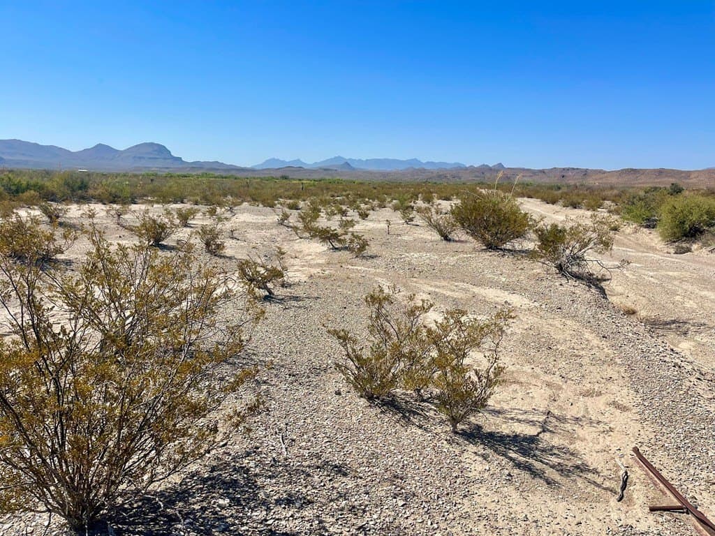 5 acres in Brewster County - photo 7