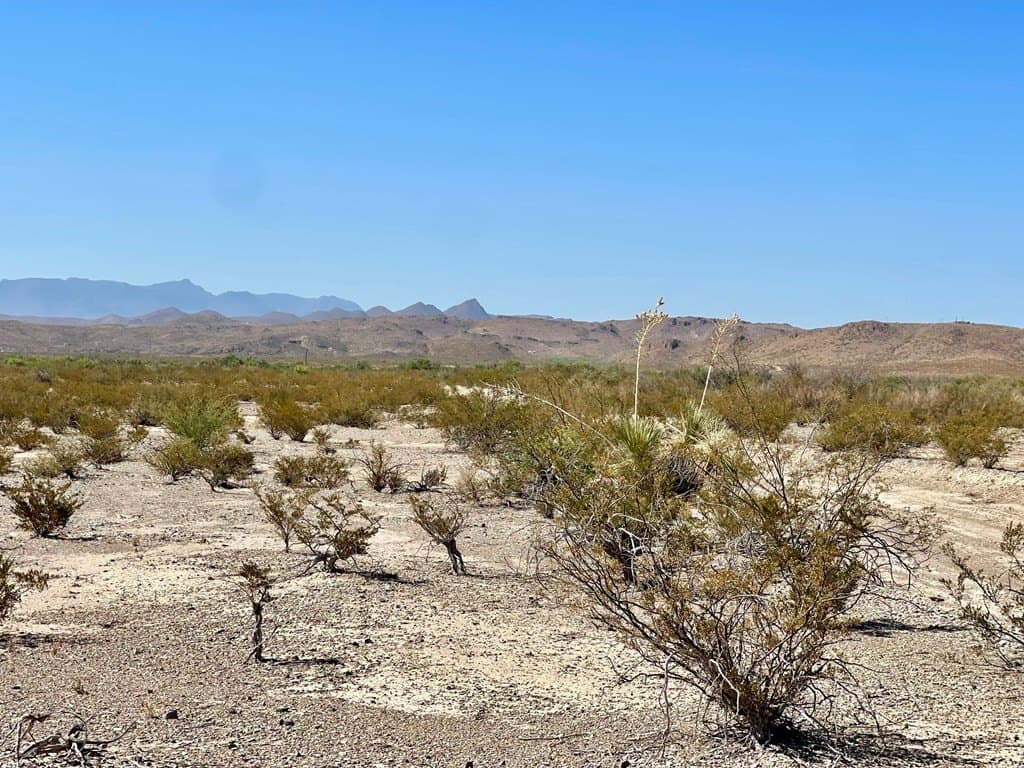 5 acres in Brewster County - photo 4