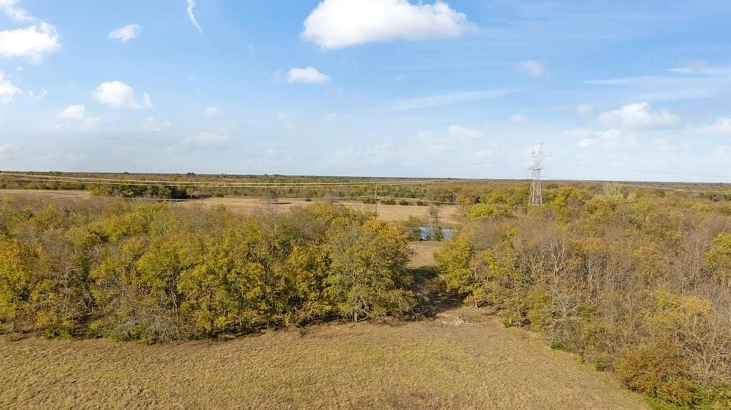 76.86 acres in Lamar County - photo 15