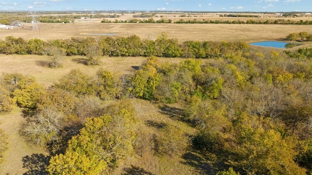 76.86 acres in Lamar County - photo 18
