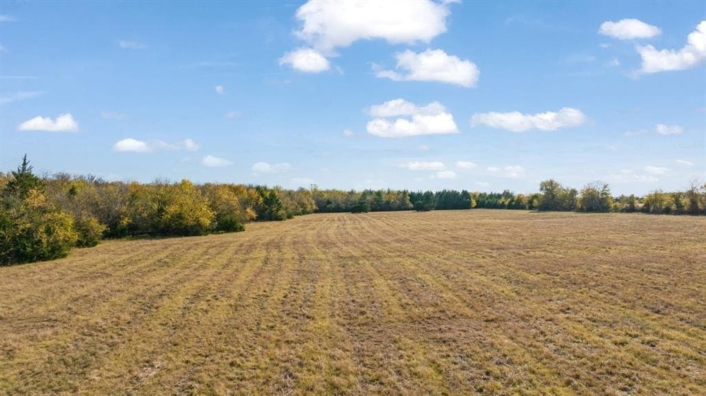 76.86 acres in Lamar County - photo 16