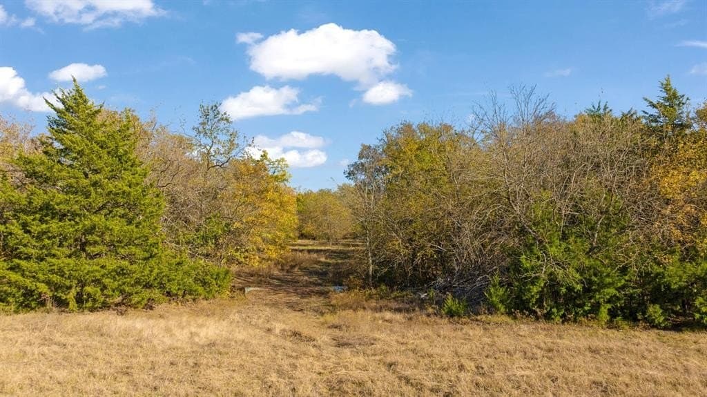 76.86 acres in Lamar County - photo 17
