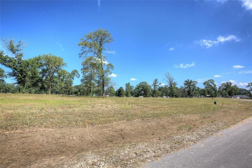 0.85 acres in Henderson County - photo 6