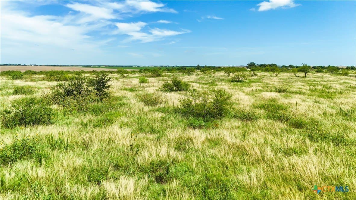 10.81 acres in Bell County - photo 6