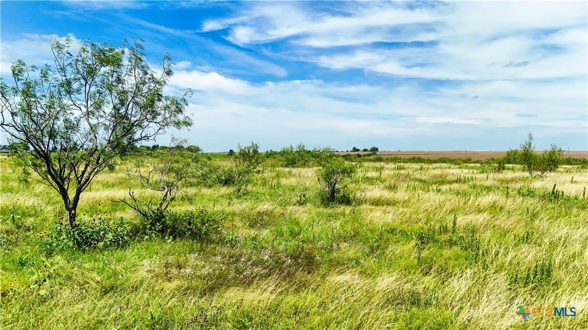 10.81 acres in Bell County - photo 7