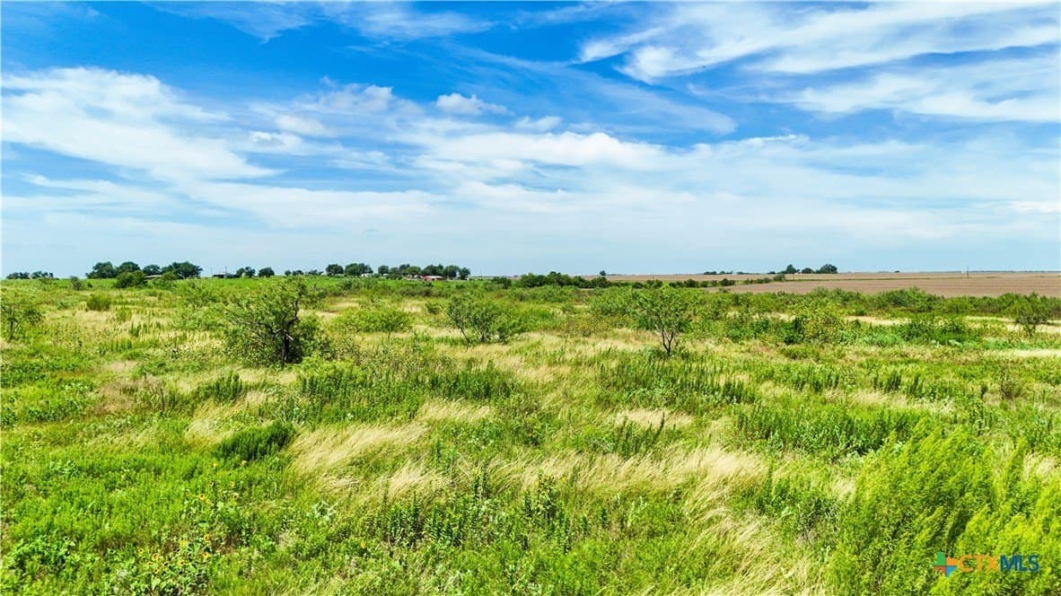 10.81 acres in Bell County - photo 9
