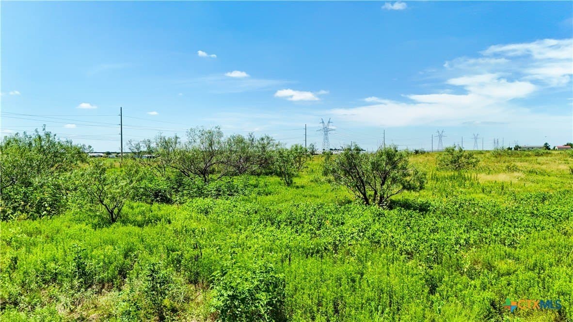 10.81 acres in Bell County - photo 8