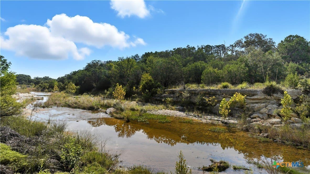 20.5 acres in Blanco County - photo 5