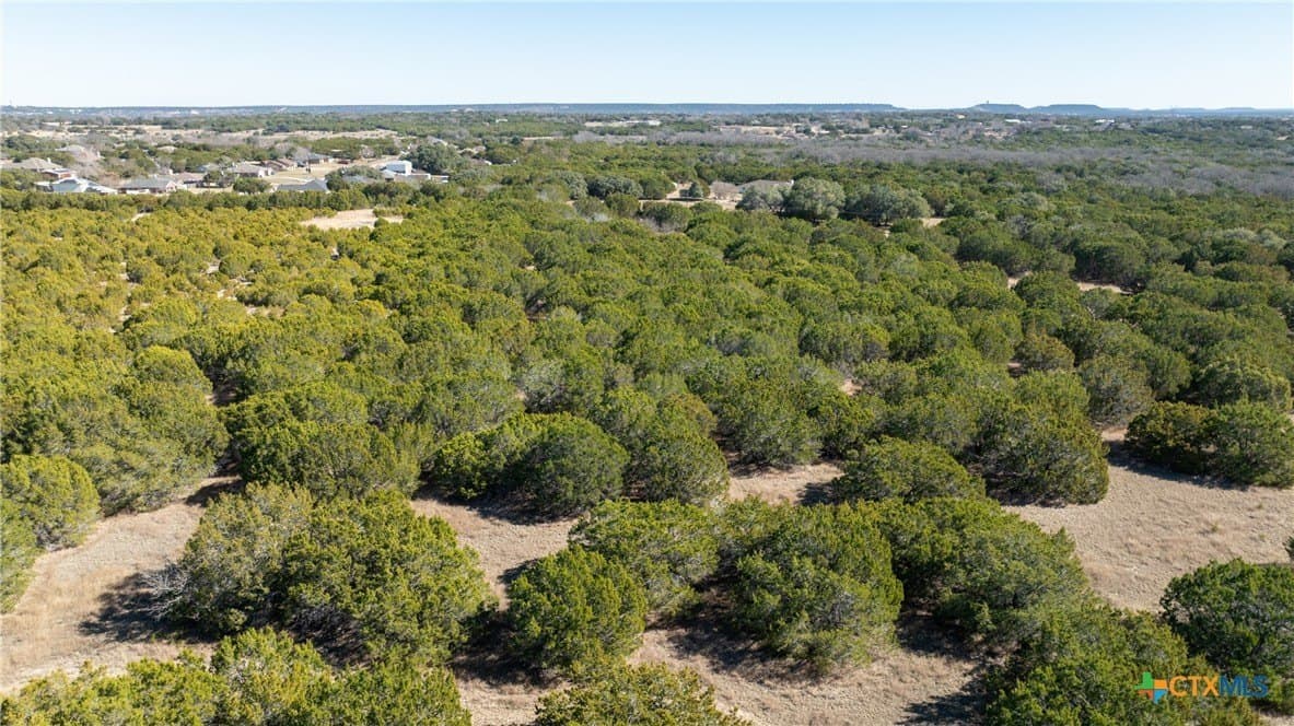 20 acres in Lampasas County - photo 8