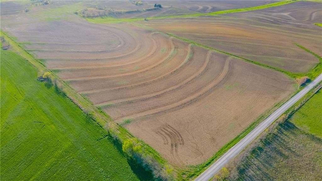 60.49 acres in Hill County - photo 4