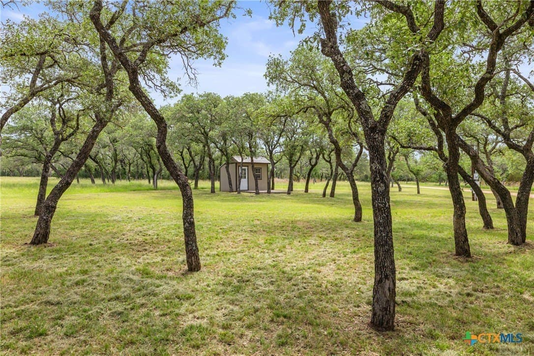 50.31 acres in Blanco County - photo 35