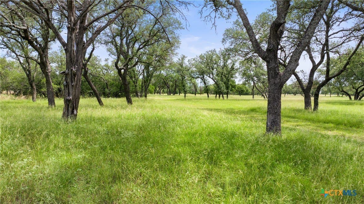 50.31 acres in Blanco County - photo 19