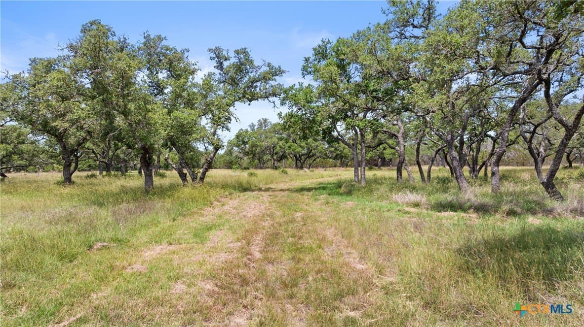 50.31 acres in Blanco County - photo 23