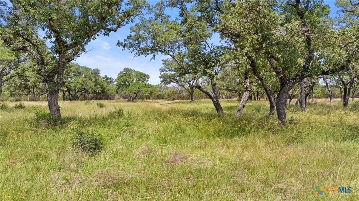 50.31 acres in Blanco County - photo 25