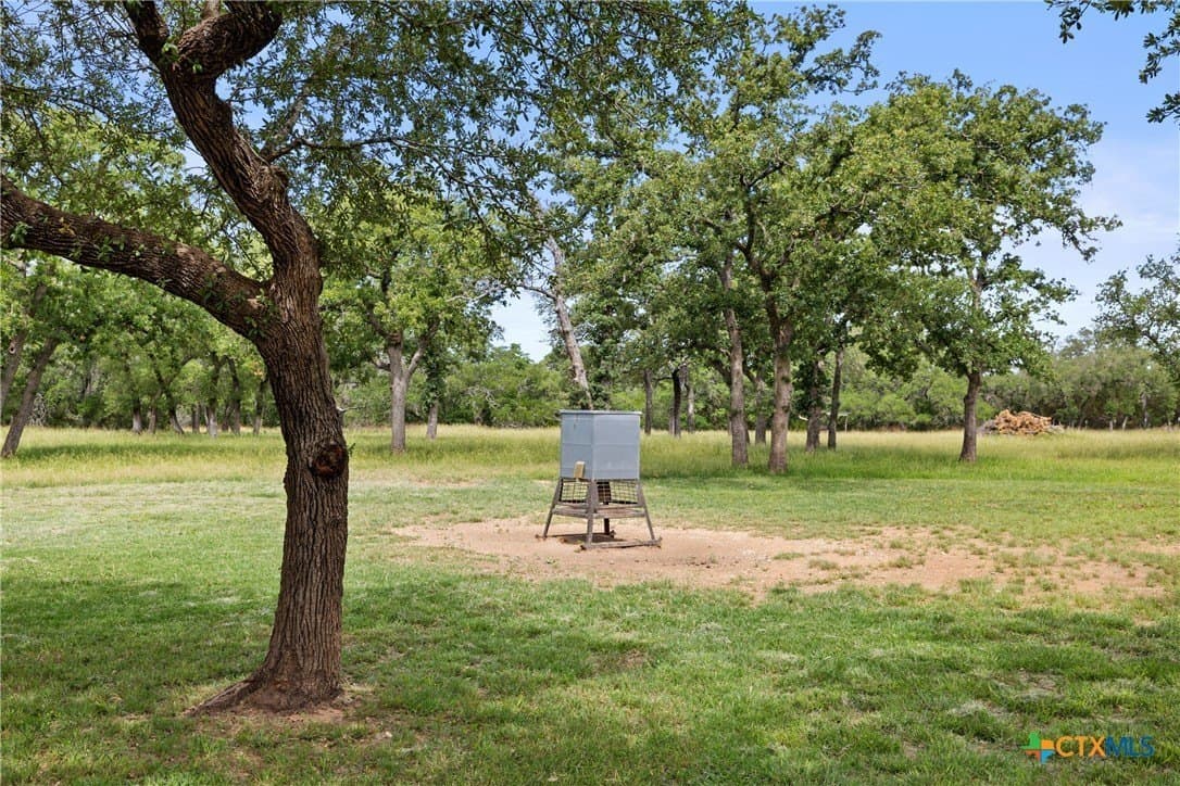 50.31 acres in Blanco County - photo 36