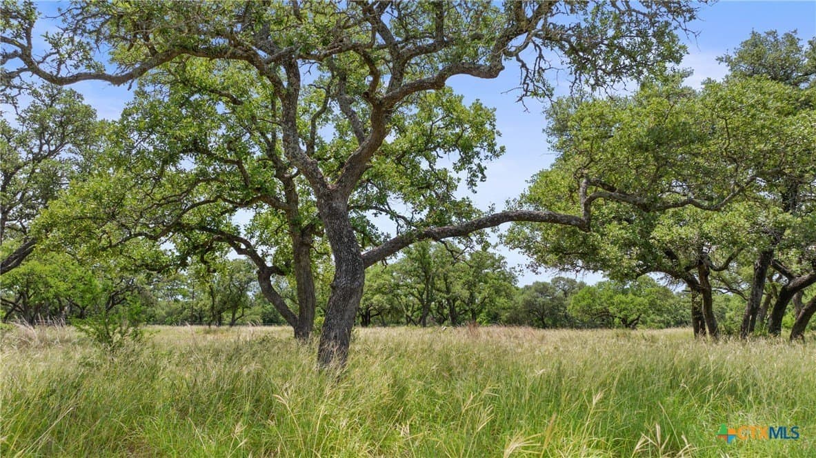 50.31 acres in Blanco County - photo 28