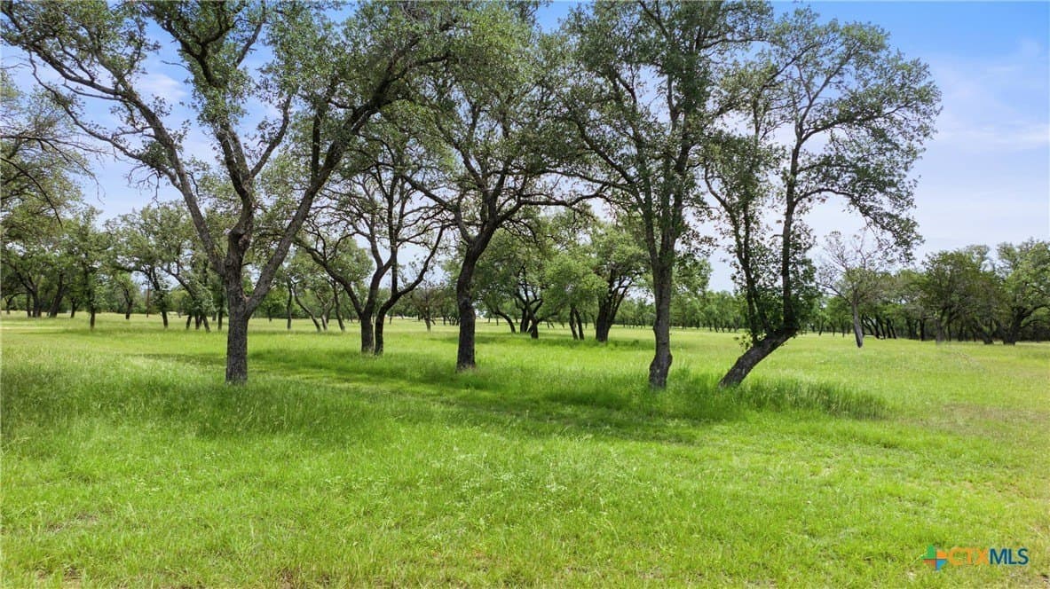 50.31 acres in Blanco County - photo 13