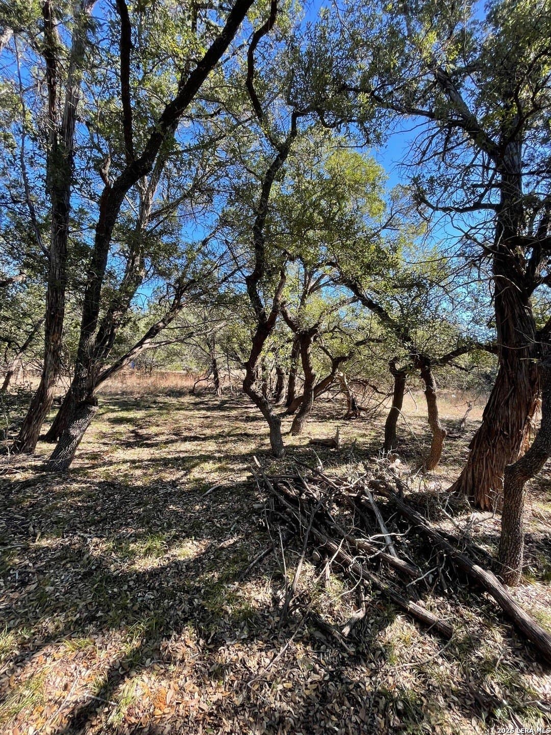 0.24 acres in Comal County - photo 5