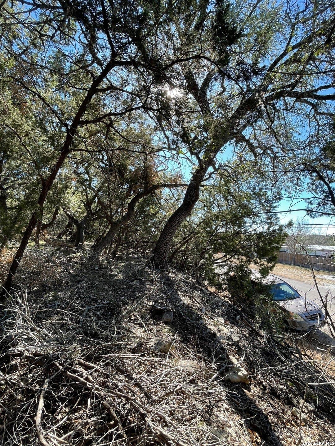 0.24 acres in Comal County - photo 6