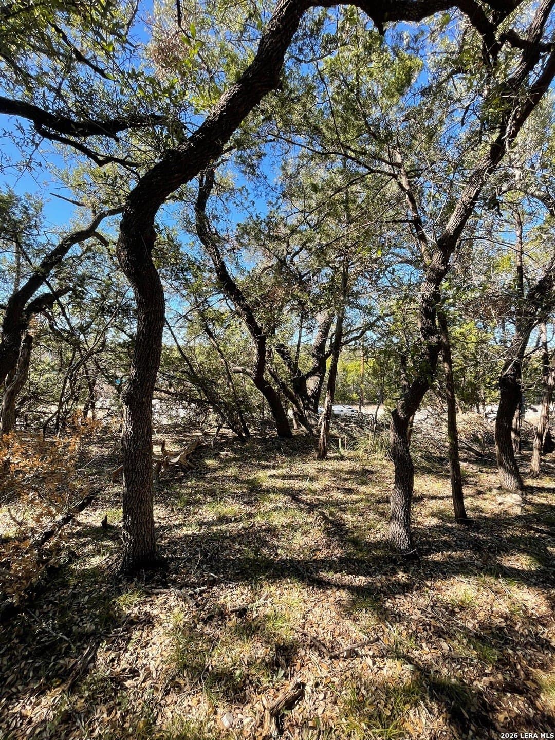 0.24 acres in Comal County - photo 4