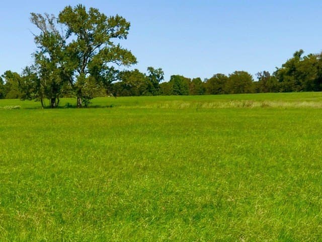 15.18 acres in Henderson County - photo 5