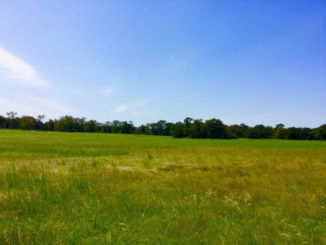 15.18 acres in Henderson County - photo 3