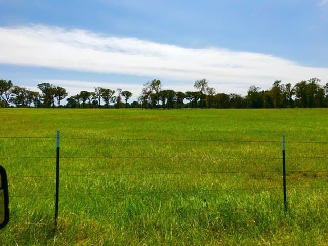 15.18 acres in Henderson County - photo 4