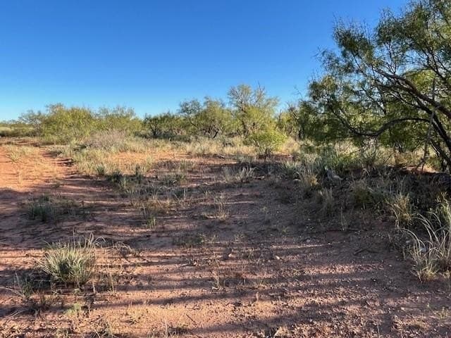 2.5 acres in Fisher County - photo 15