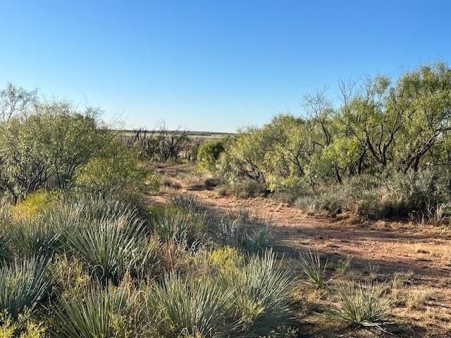 2.5 acres in Fisher County - photo 23