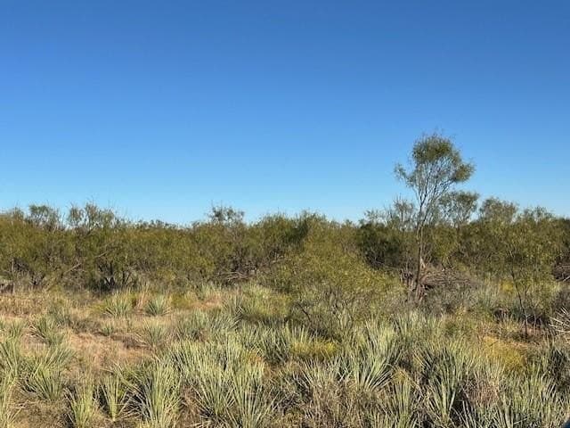 2.5 acres in Fisher County - photo 20