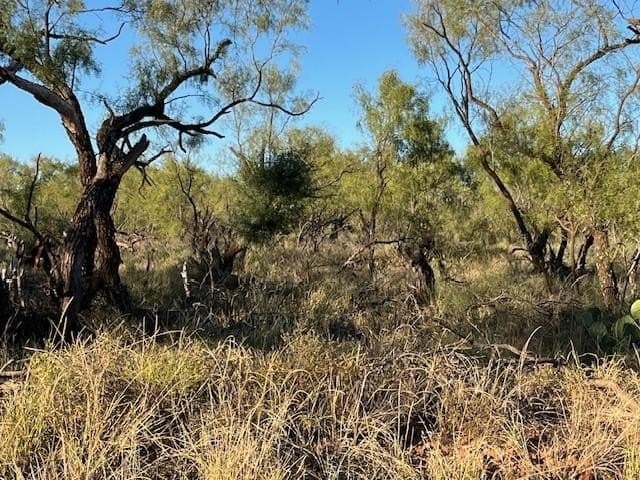 2.5 acres in Fisher County - photo 30