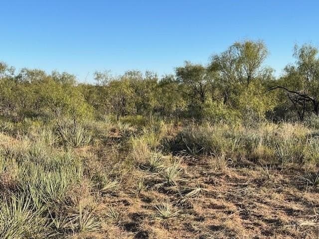 2.5 acres in Fisher County - photo 21