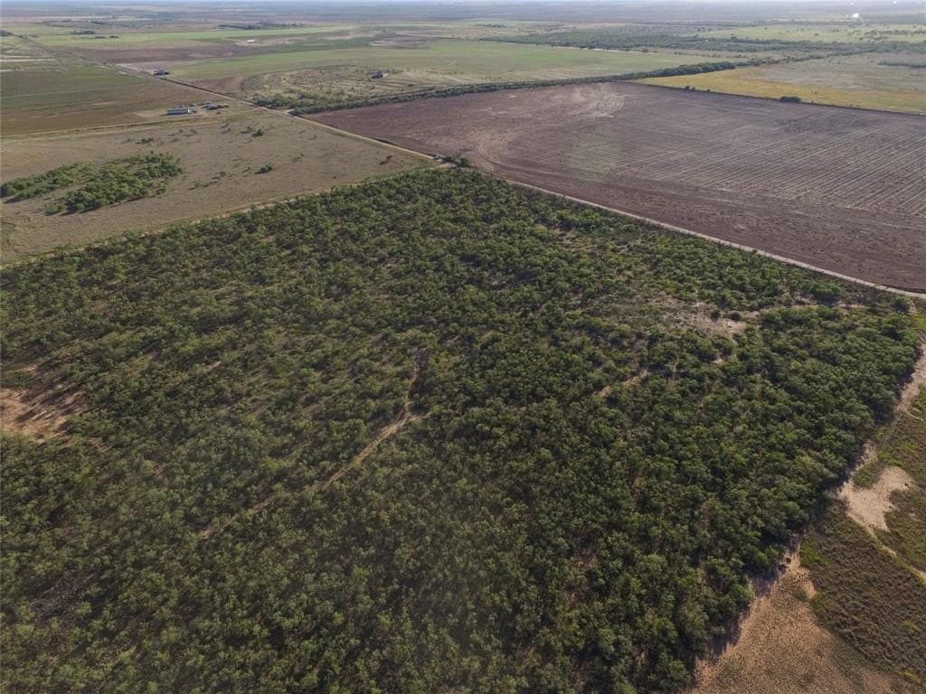 2.5 acres in Fisher County - photo 6