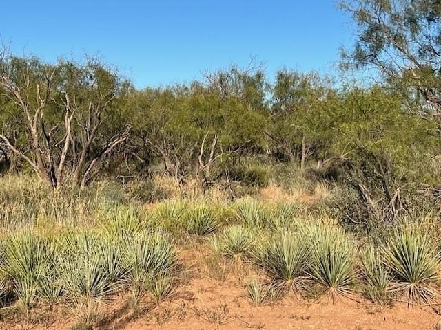 2.5 acres in Fisher County - photo 17