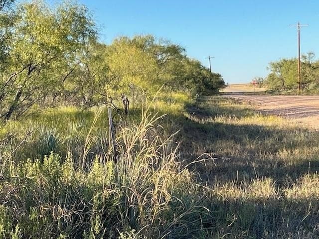 2.5 acres in Fisher County - photo 38
