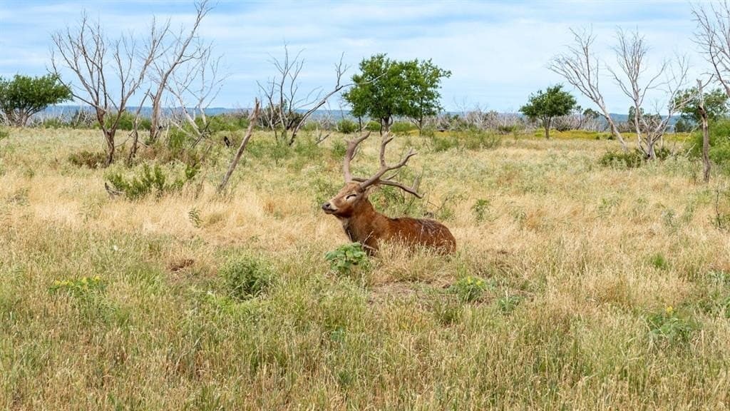 1,764 acres in Hardeman County - photo 32