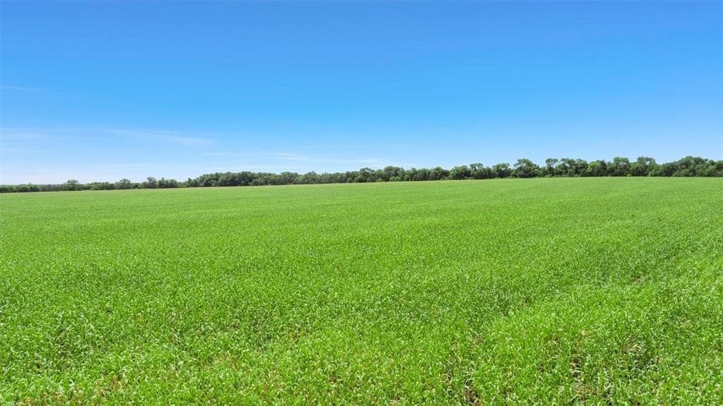 104.98 acres in Hunt County - photo 6