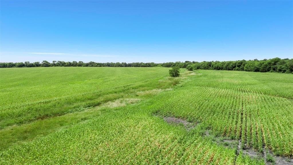 104.98 acres in Hunt County - photo 5