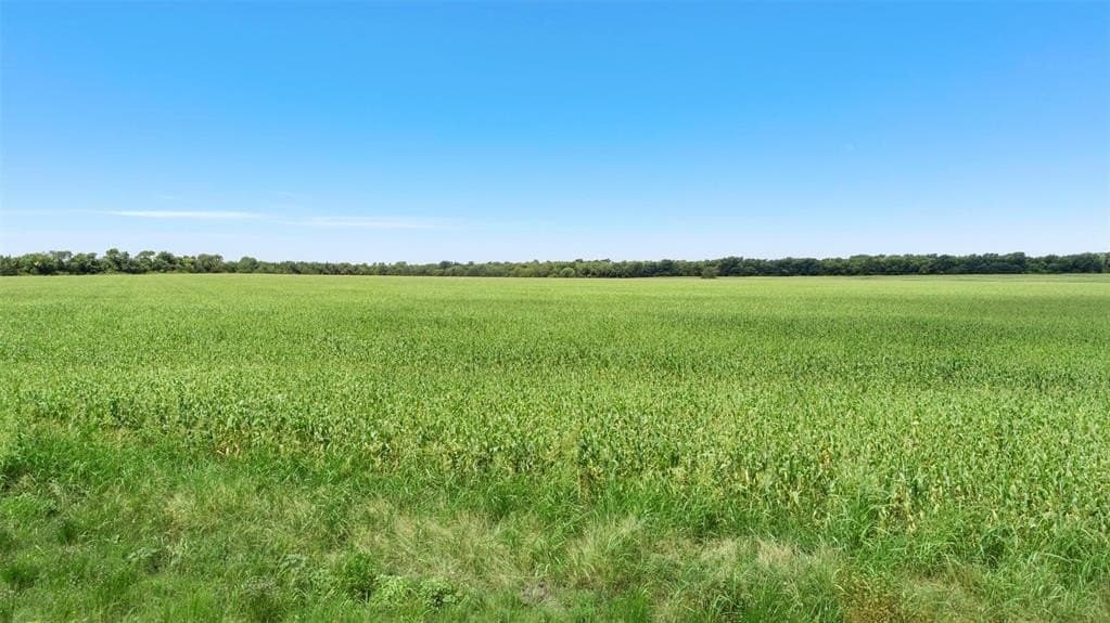 104.98 acres in Hunt County - photo 13