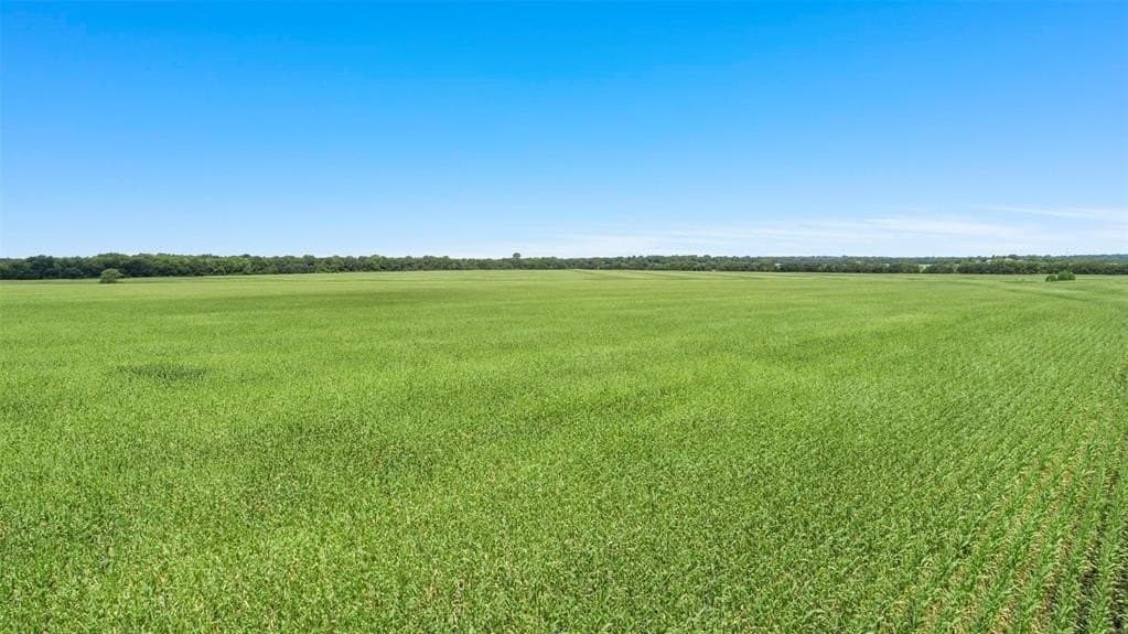 104.98 acres in Hunt County - photo 12