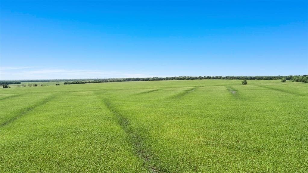 104.98 acres in Hunt County - photo 4