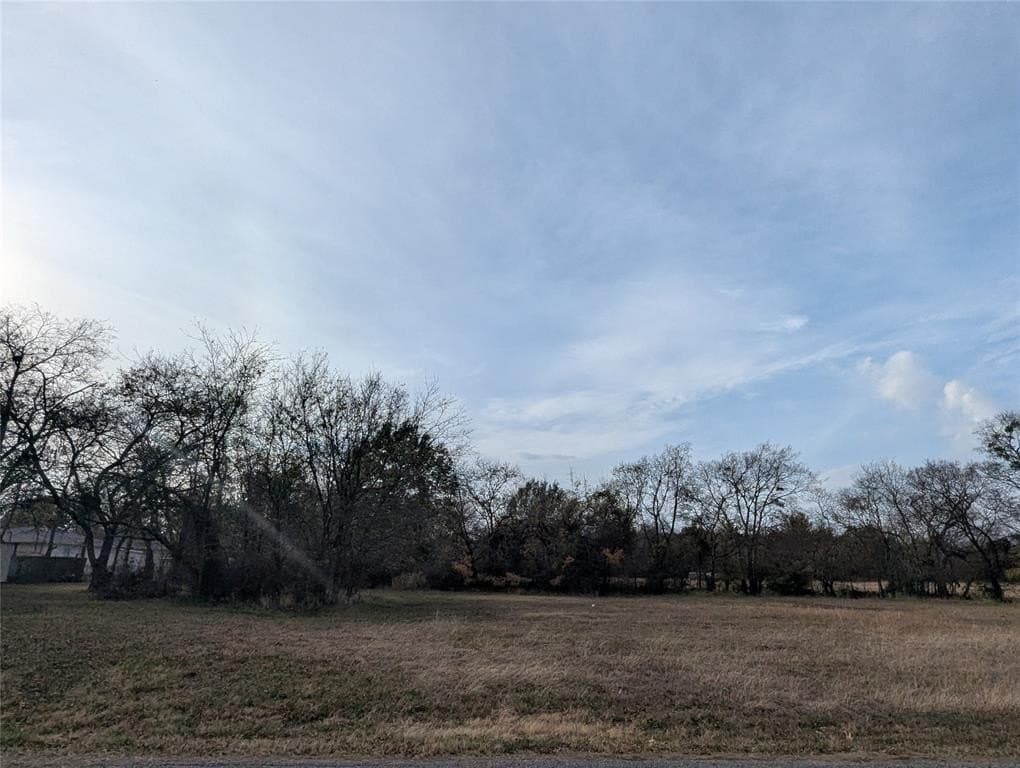 0.31 acres in Fannin County - photo 2