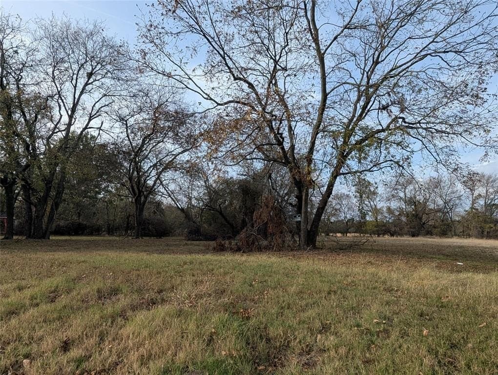 0.31 acres in Fannin County - photo 4