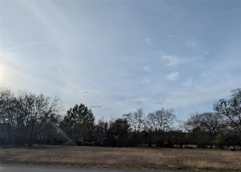 0.31 acres in Fannin County - photo 7