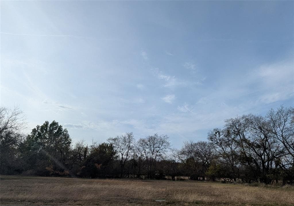 0.31 acres in Fannin County - photo 6
