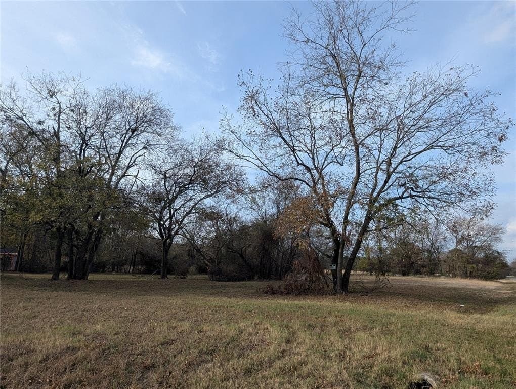 0.31 acres in Fannin County - photo 10