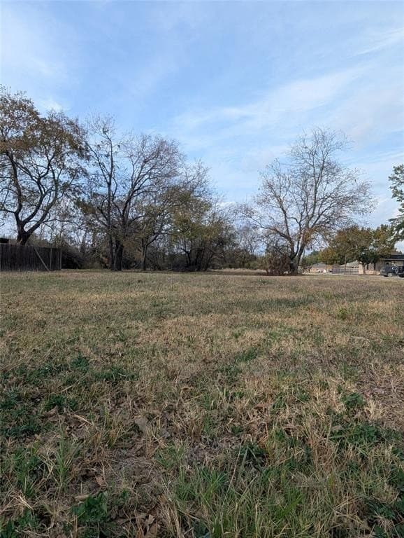0.31 acres in Fannin County - photo 3